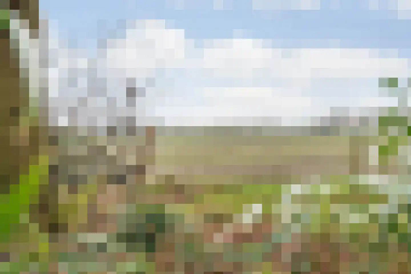 Witteveen 20 y Ruinen thumbnail 37