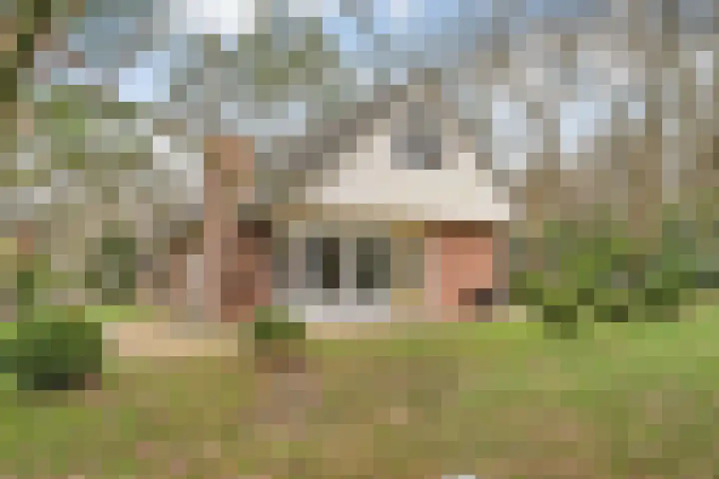 Witteveen 20 y Ruinen thumbnail 38
