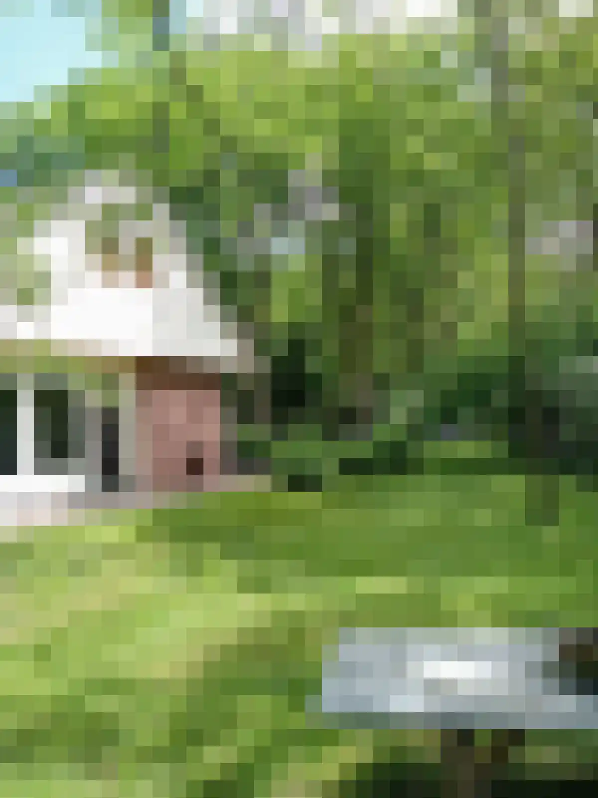 Witteveen 20 y Ruinen thumbnail 39