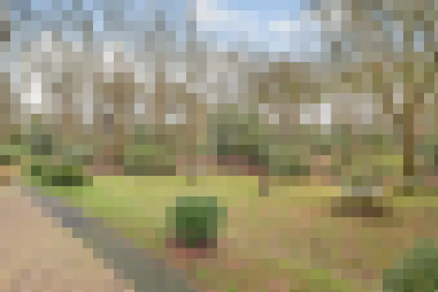 Witteveen 20 y Ruinen thumbnail 40