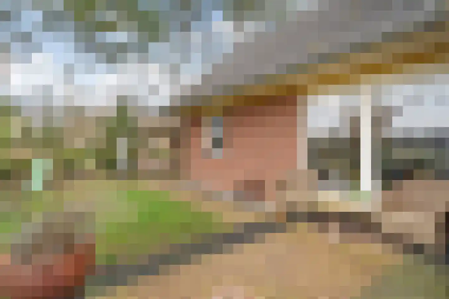 Witteveen 20 y Ruinen thumbnail 41
