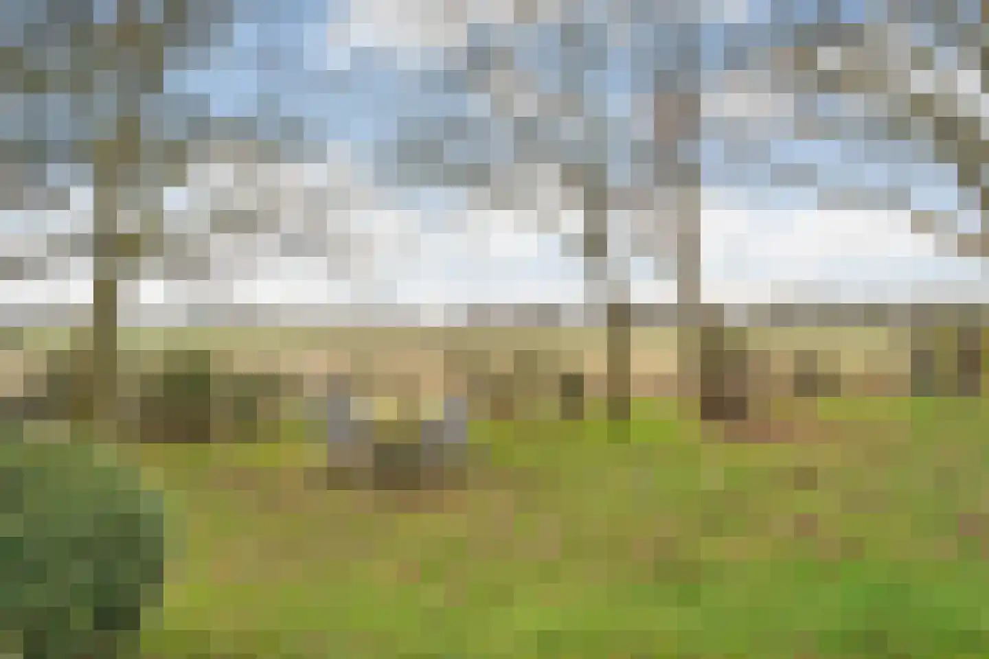 Witteveen 20 y Ruinen thumbnail 42
