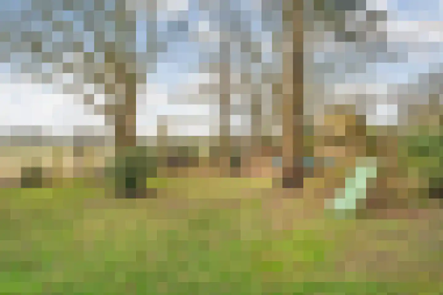 Witteveen 20 y Ruinen thumbnail 43