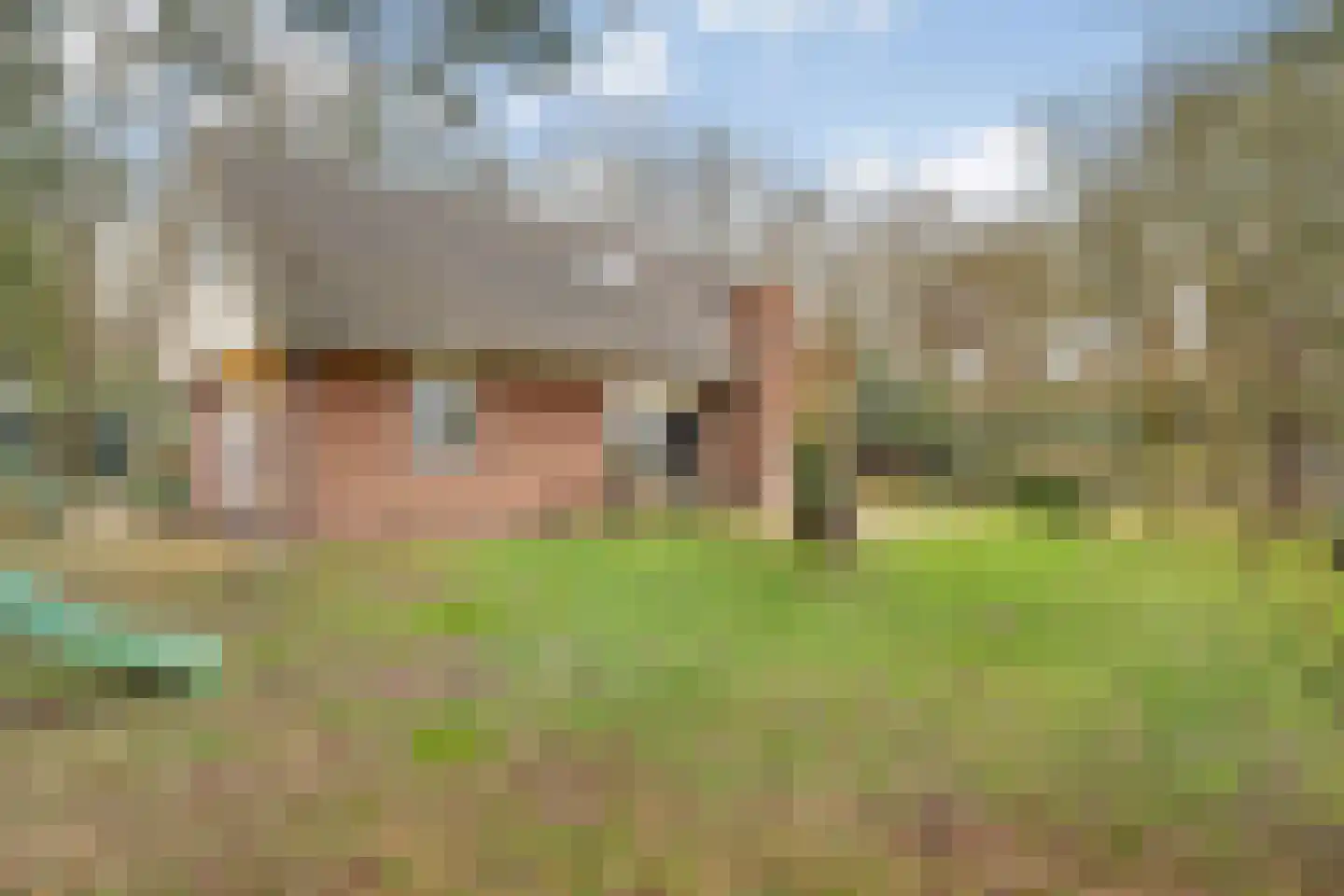 Witteveen 20 y Ruinen thumbnail 44