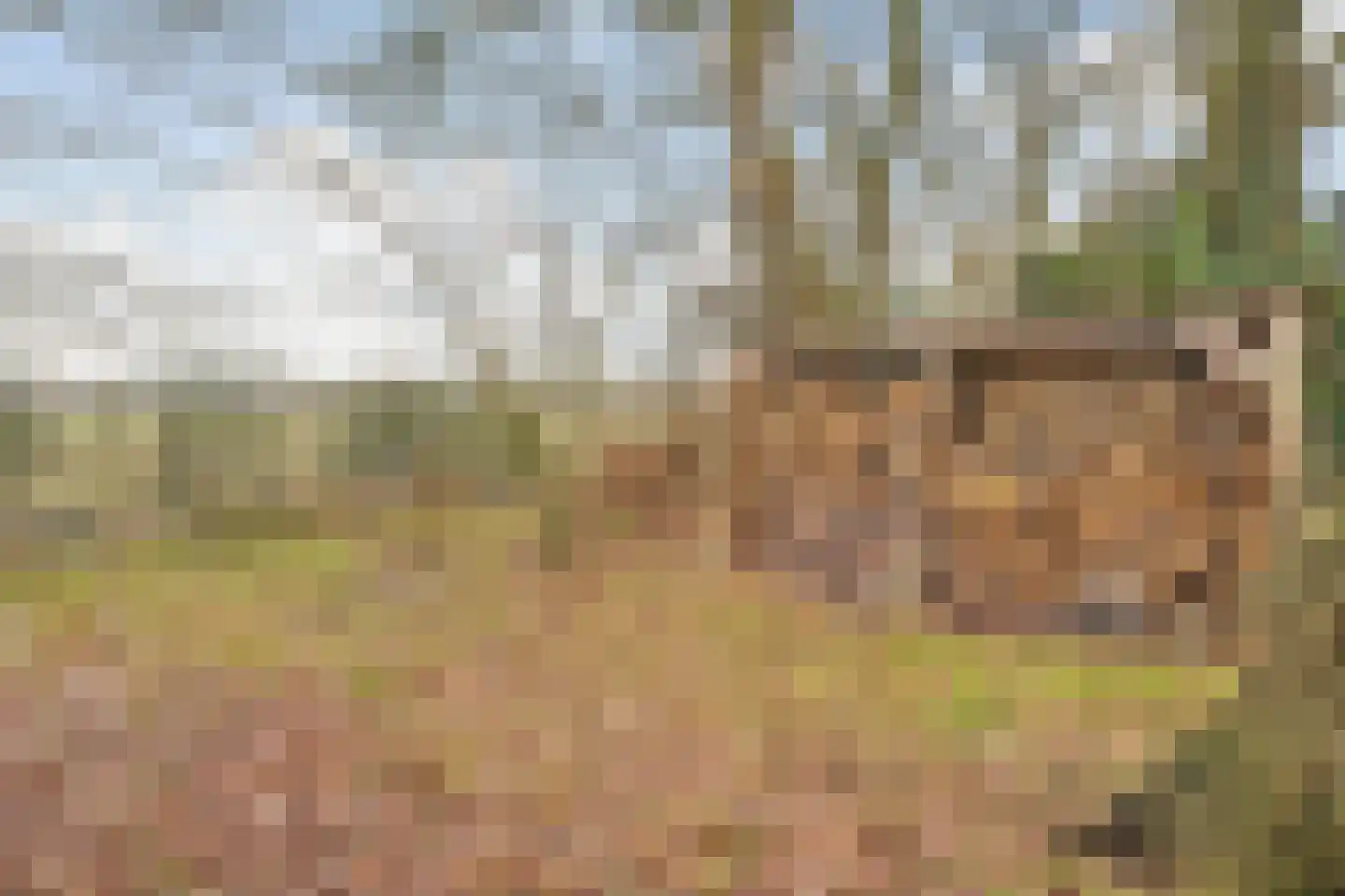 Witteveen 20 y Ruinen thumbnail 45
