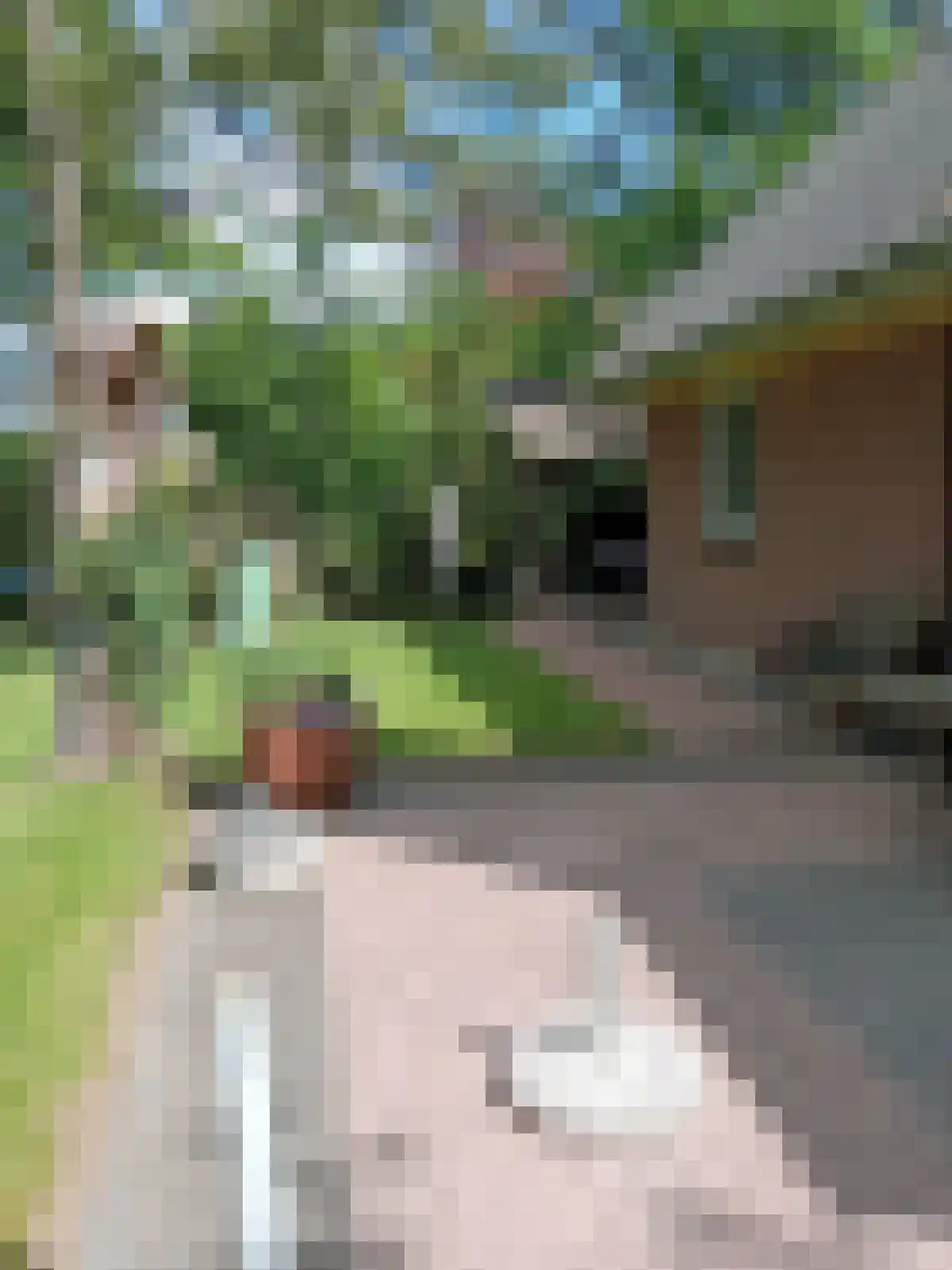 Witteveen 20 y Ruinen thumbnail 46