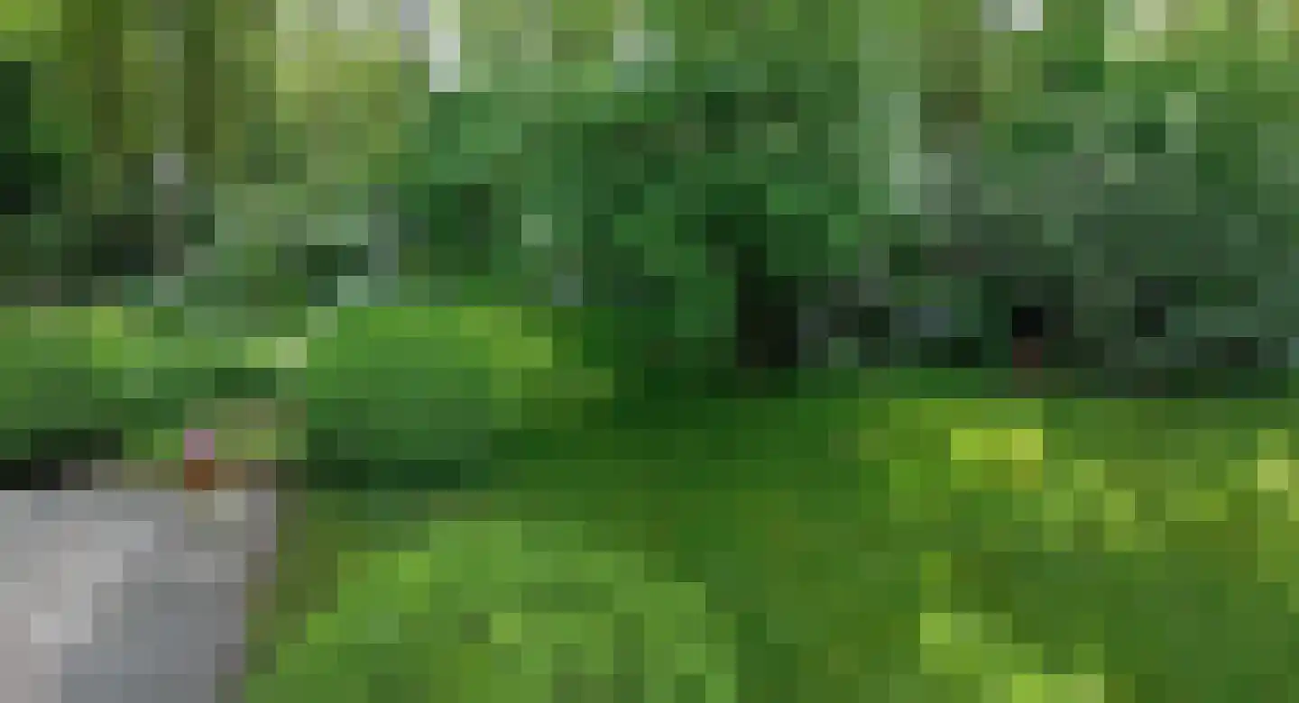 Witteveen 20 y Ruinen thumbnail 47