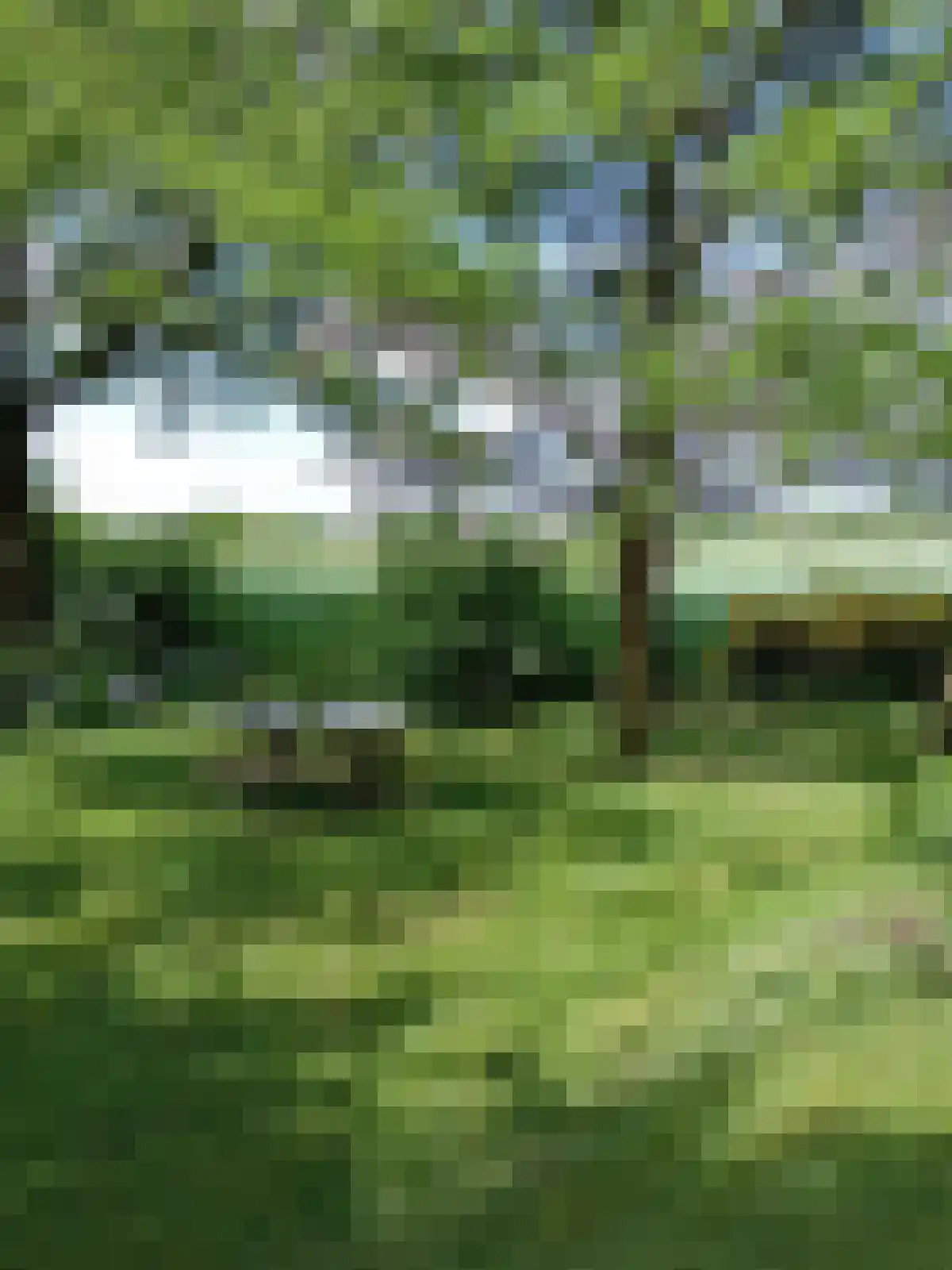 Witteveen 20 y Ruinen thumbnail 48