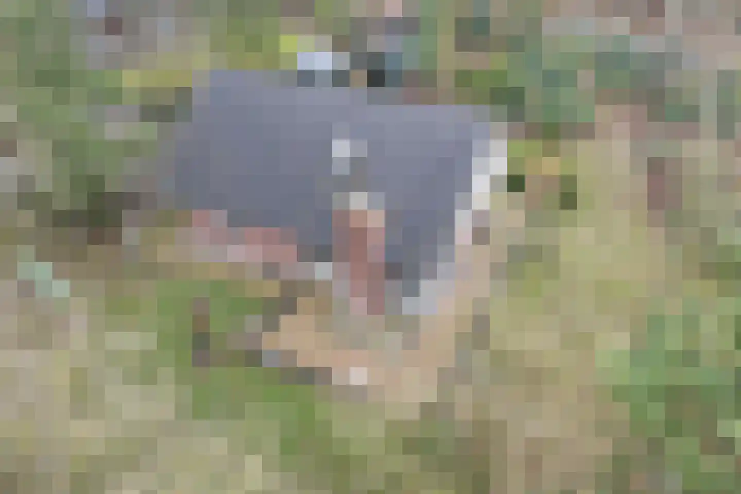 Witteveen 20 y Ruinen thumbnail 5