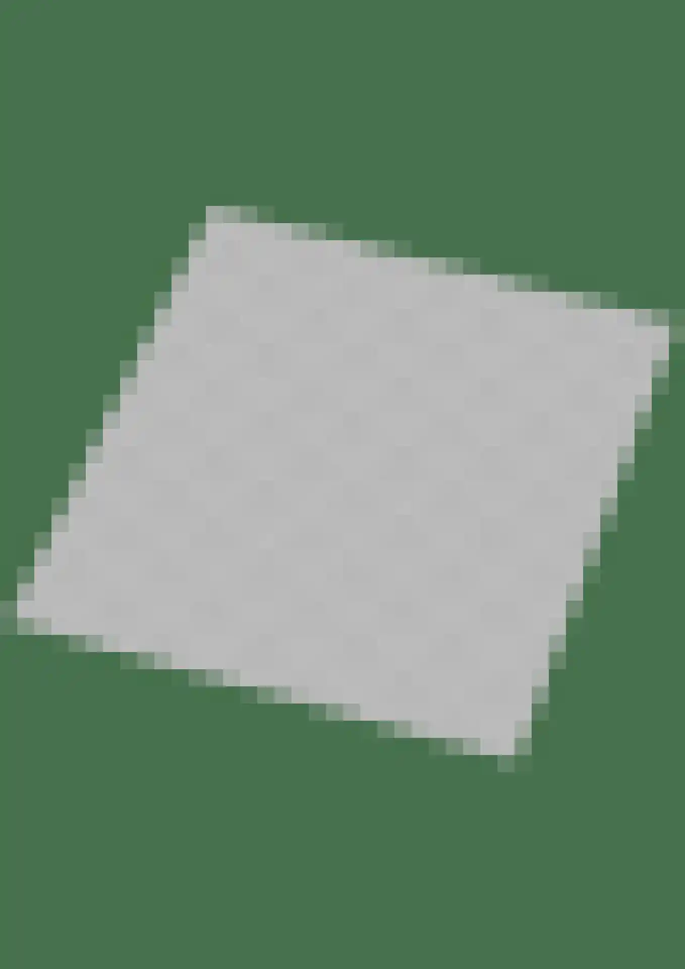 Witteveen 20 y Ruinen thumbnail 59