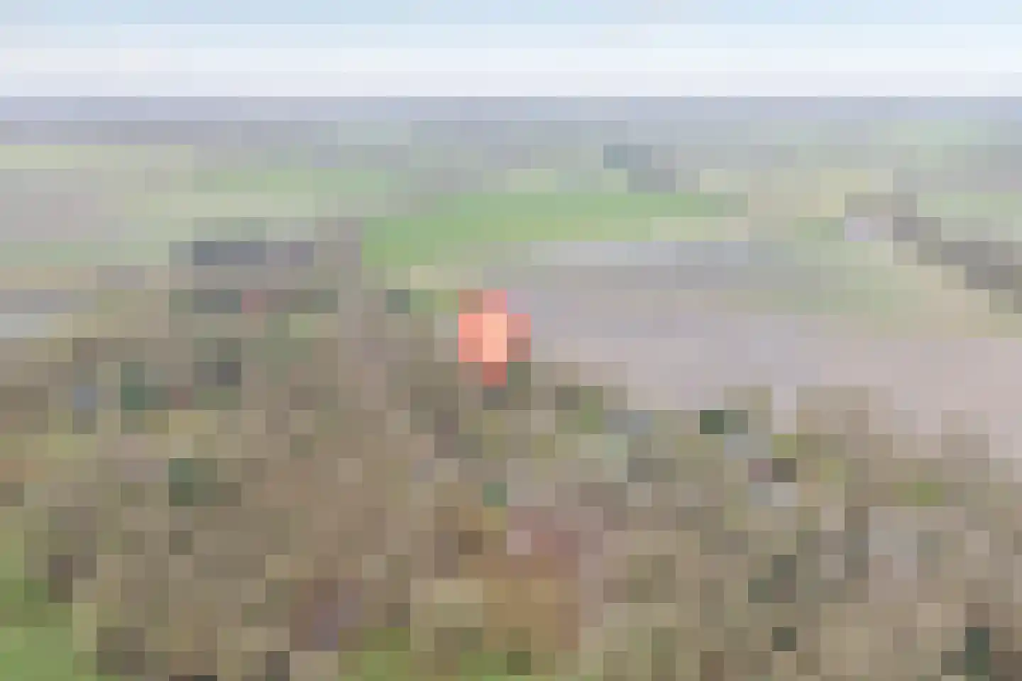 Witteveen 20 y Ruinen thumbnail 6