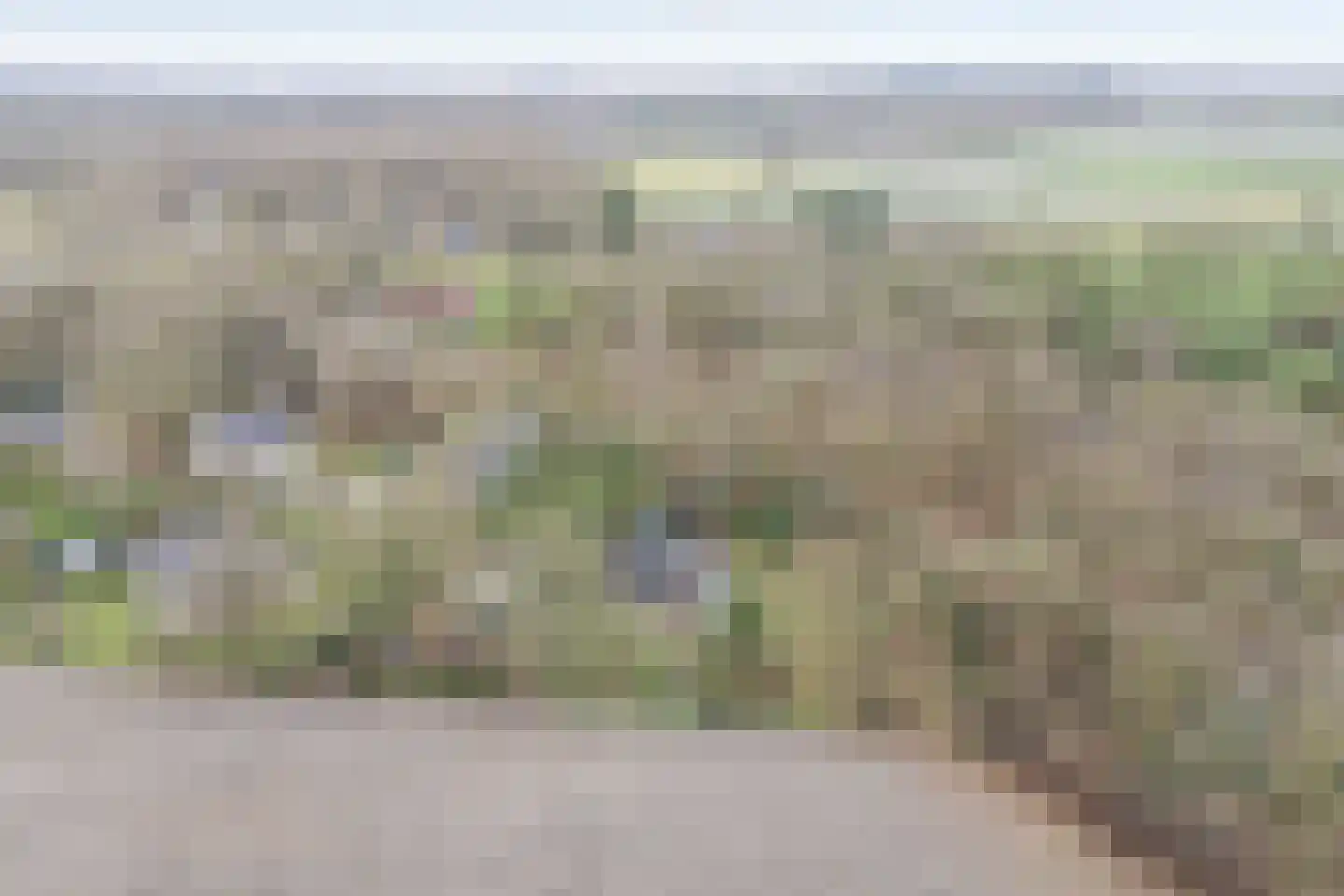 Witteveen 20 y Ruinen thumbnail 7