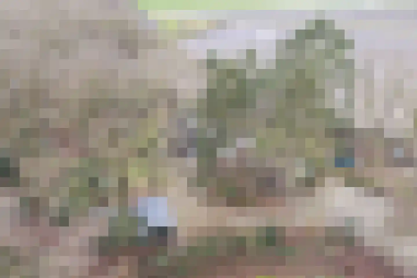Witteveen 20 y Ruinen thumbnail 8