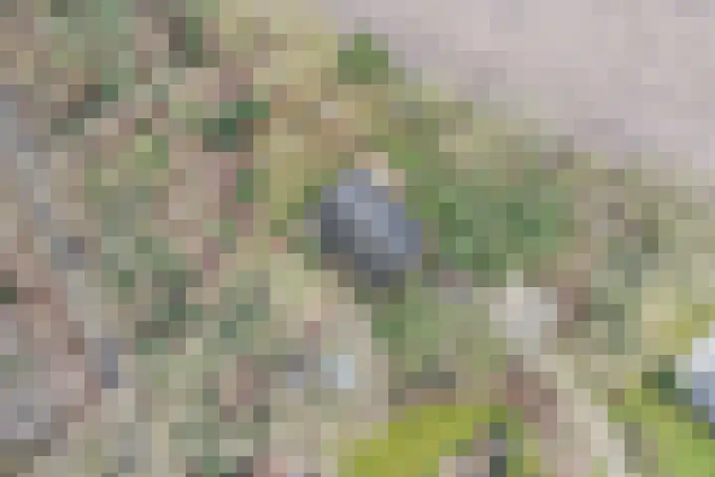 Witteveen 20 y Ruinen thumbnail 9