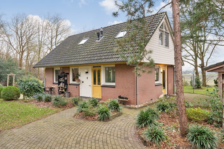 Witteveen 20y in Ruinen photo