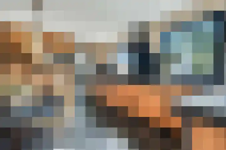 Witteveen 5 Ruinen thumbnail 12