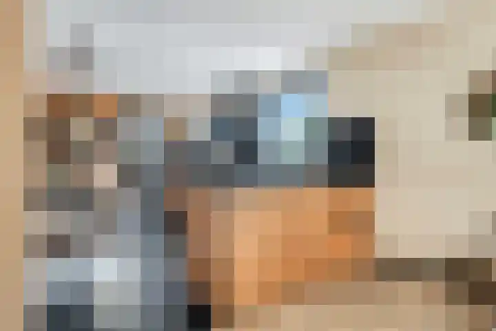 Witteveen 5 Ruinen thumbnail 16