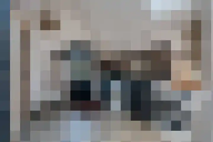 Witteveen 5 Ruinen thumbnail 17