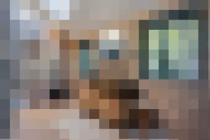 Witteveen 5 Ruinen thumbnail 19