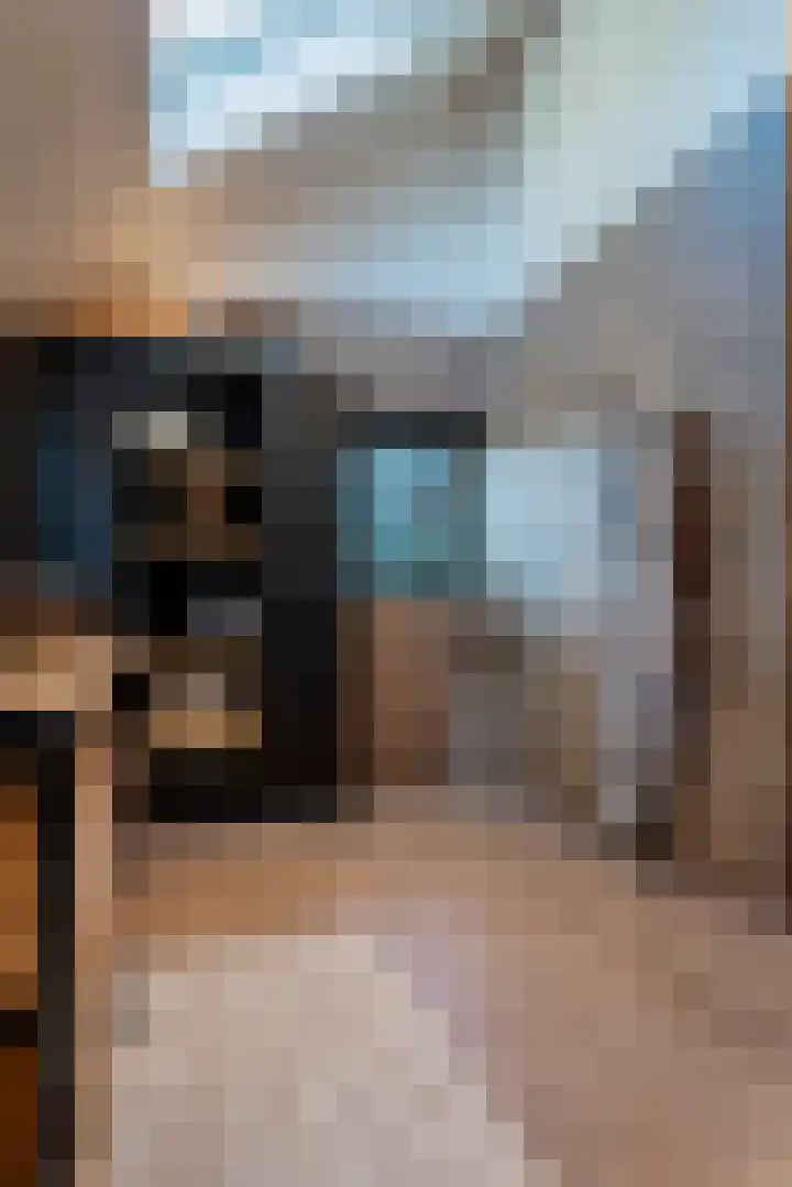 Witteveen 5 Ruinen thumbnail 22