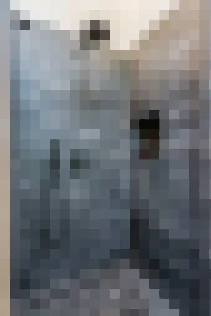 Witteveen 5 Ruinen thumbnail 23
