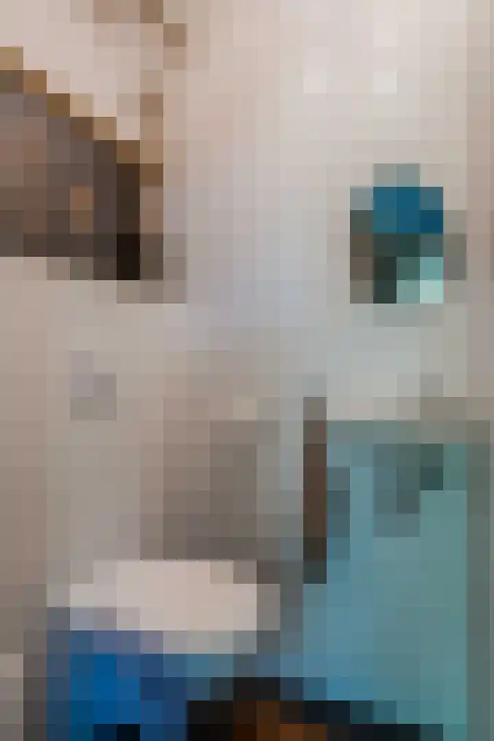 Witteveen 5 Ruinen thumbnail 27
