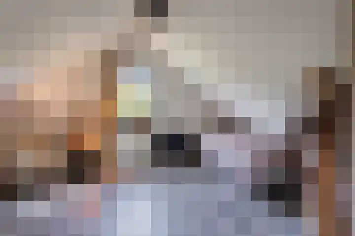 Witteveen 5 Ruinen thumbnail 31