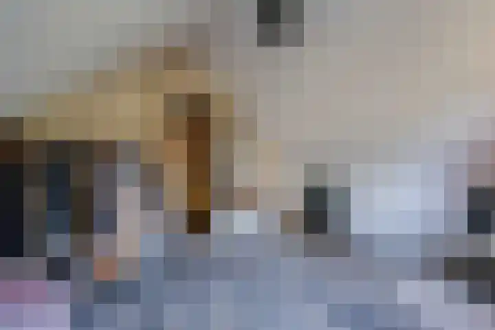 Witteveen 5 Ruinen thumbnail 32