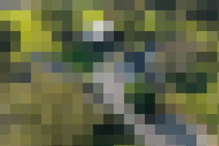 Witteveen 5 Ruinen thumbnail 33