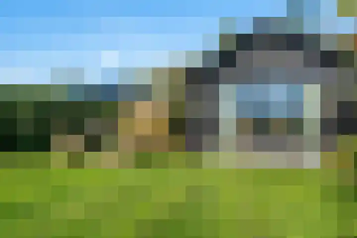 Witteveen 5 Ruinen thumbnail 34