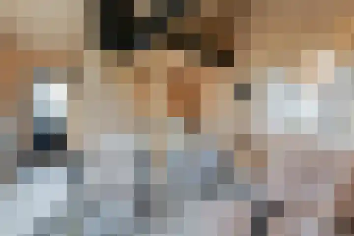Witteveen 5 Ruinen thumbnail 36