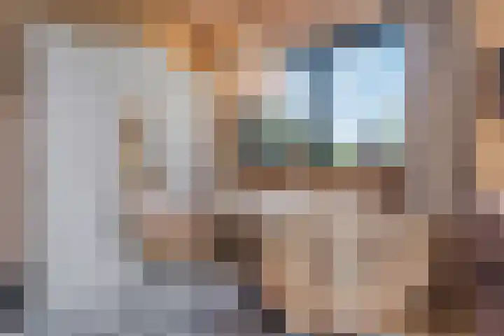 Witteveen 5 Ruinen thumbnail 39