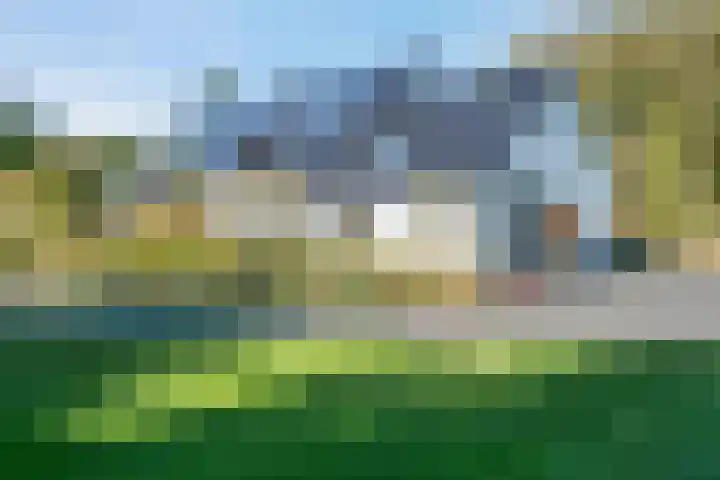 Witteveen 5 Ruinen thumbnail 4