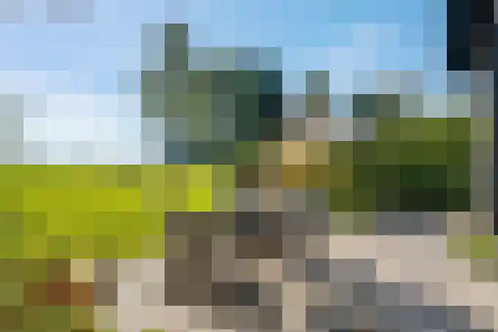 Witteveen 5 Ruinen thumbnail 43