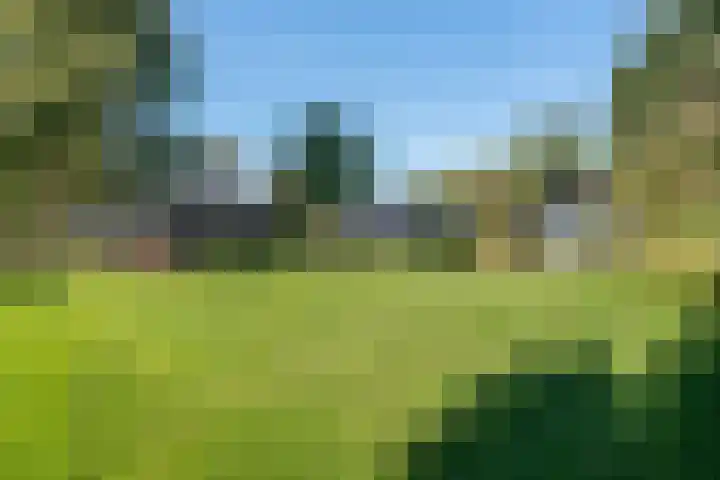 Witteveen 5 Ruinen thumbnail 44