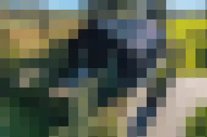 Witteveen 5 Ruinen thumbnail 45