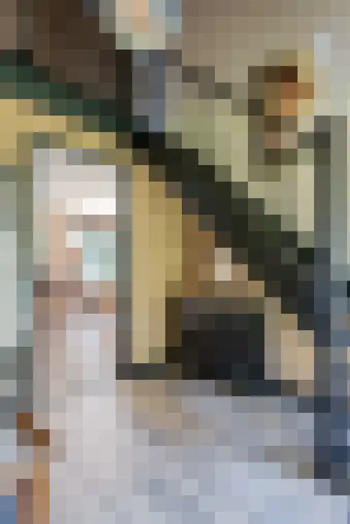 Witteveen 5 Ruinen thumbnail 5