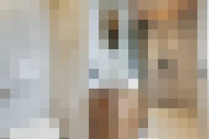 Witteveen 5 Ruinen thumbnail 52