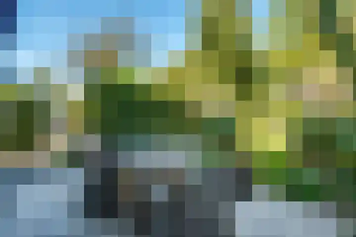 Witteveen 5 Ruinen thumbnail 53