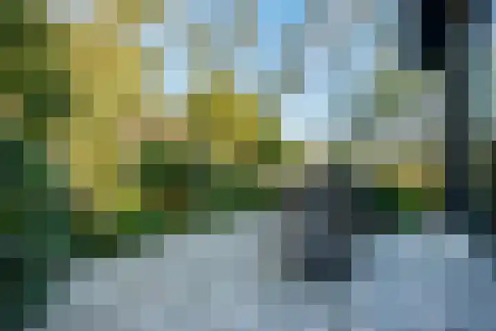 Witteveen 5 Ruinen thumbnail 54