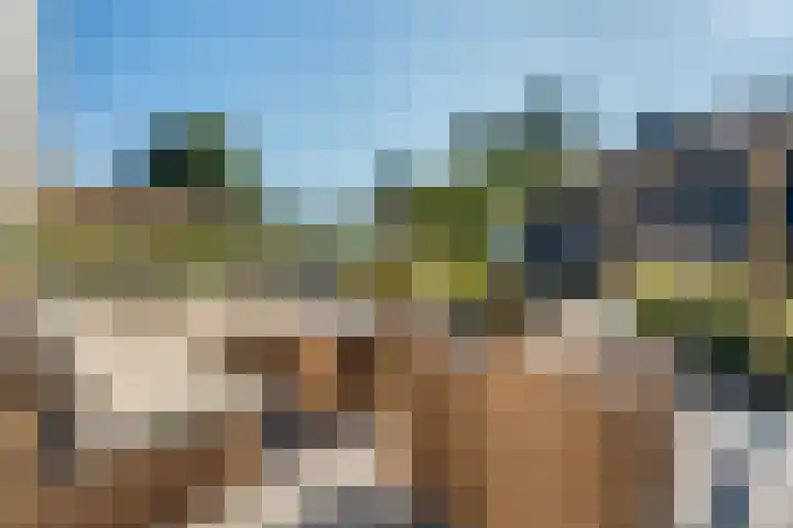 Witteveen 5 Ruinen thumbnail 57