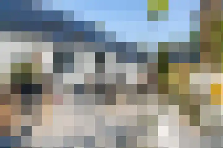 Witteveen 5 Ruinen thumbnail 60