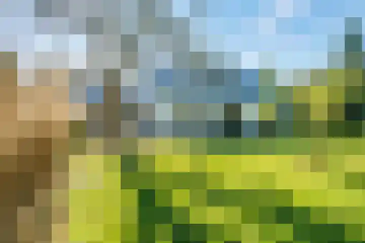Witteveen 5 Ruinen thumbnail 61