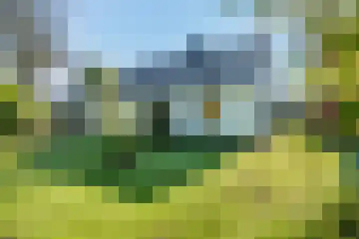 Witteveen 5 Ruinen thumbnail 62