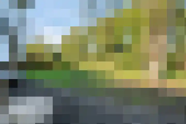 Witteveen 5 Ruinen thumbnail 63
