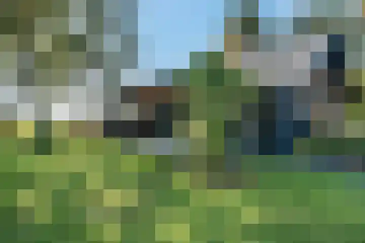 Witteveen 5 Ruinen thumbnail 67