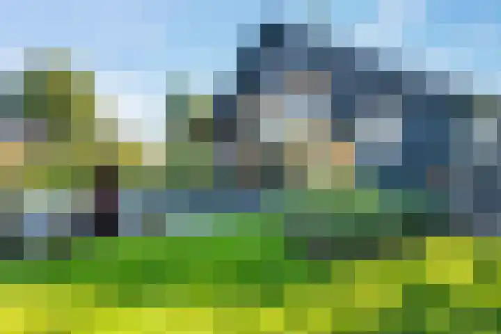 Witteveen 5 Ruinen thumbnail 69