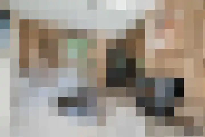Witteveen 5 Ruinen thumbnail 7