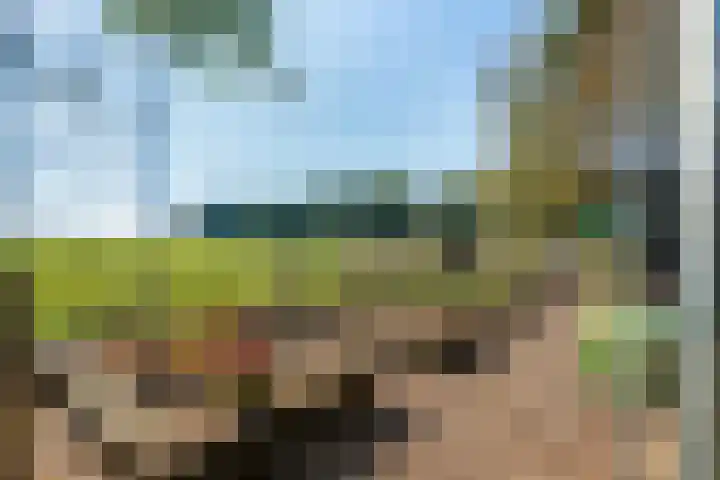 Witteveen 5 Ruinen thumbnail 74