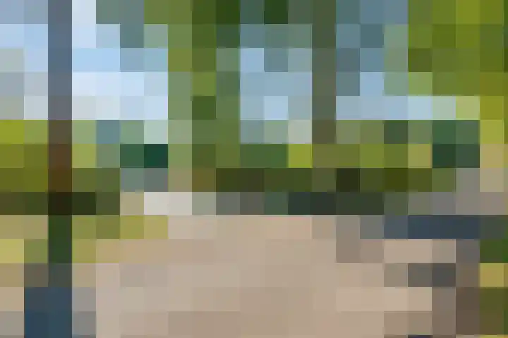 Witteveen 5 Ruinen thumbnail 75